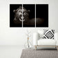 Lion art Jaws of the lion African canvas art Lion's mane Black and white art Multi panel extra large canvas art painting Home wall decor