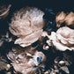 Dark floral wallpaper Floral wallpaper Peel and stick wallpaper Flowers wallpaper Peonies wall art Botanical removable wallpaper